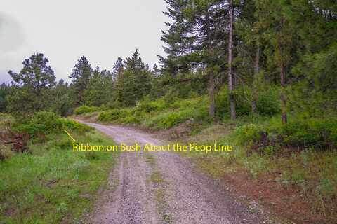 2420 CEDONIA ADDY RD, ADDY, WA 99101