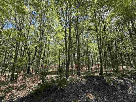0 Coulter Creek, Central Lake, MI 49622