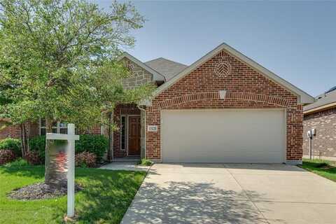 13221 Larks View Point, Fort Worth, TX 76244