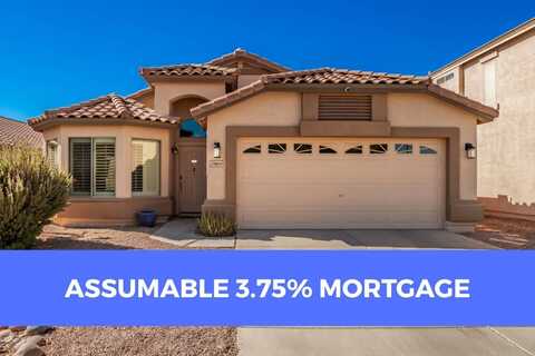 29804 N Desert Willow Blvd, San Tan Valley, AZ 85143