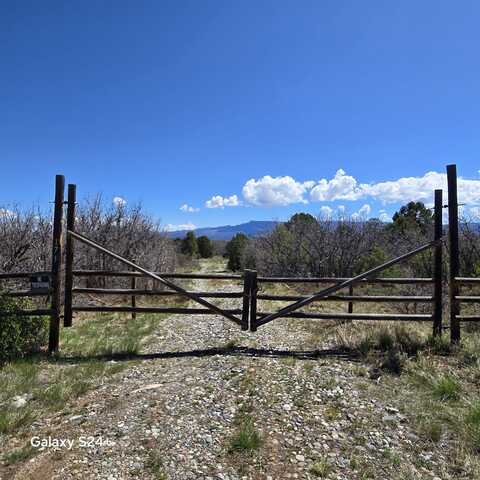 173 Kendall Rd., Ridgway, CO 81432