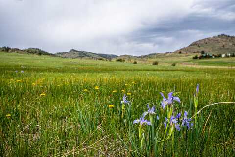 816 Meadow Way, Livermore, CO 80536