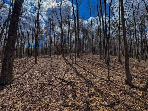 0 Big Island Run, Elizabeth, WV 26143