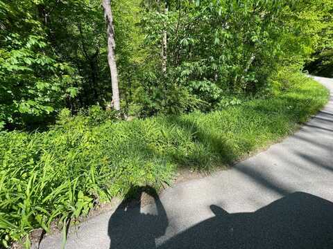 0 Lee Branch Road, Kanawha Falls, WV 25115