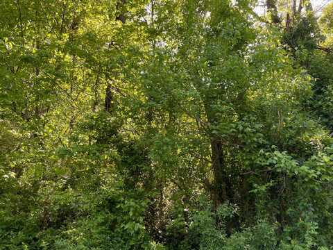 0000 Lee Branch Road, Kanawha Falls, WV 25115