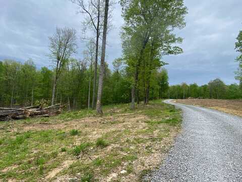 0 Wagner Rd, Buckahnnon, WV 26201