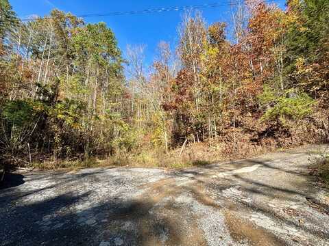 L-31 DEER BROWSE WAY, Sevierville, TN 37876
