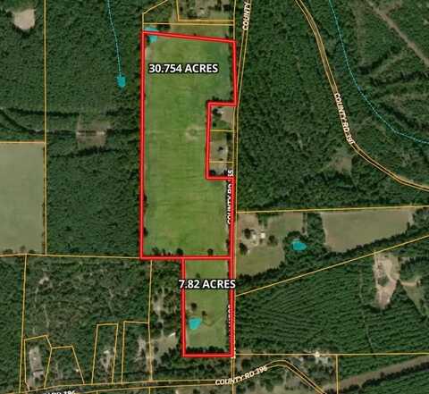 TBD An County Road 355, PALESTINE, TX 75801