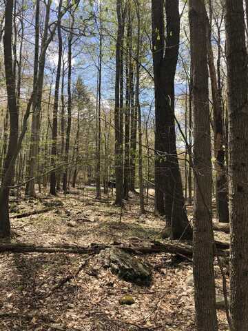 Fala Court, Pocono Lake, PA 18347