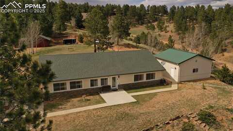 867 Twin Lakes Drive, Divide, CO 80814