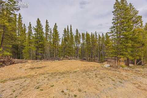 144 Crescent Road, Fairplay, CO 80440