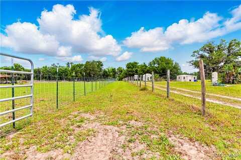 0 Dan Brown Hill Road, Brooksville, FL 34602