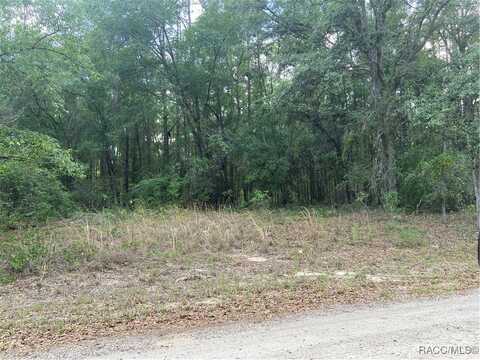 247 E McFaddin Place, Citrus Springs, FL 34434