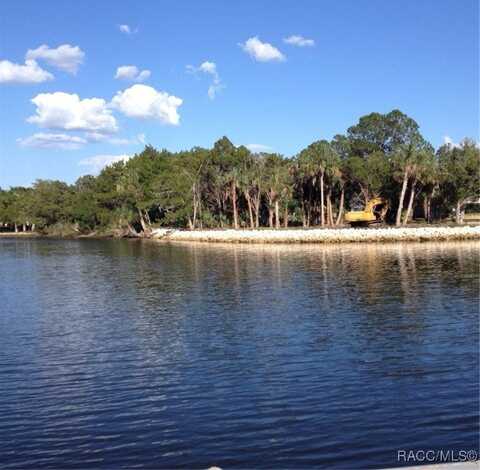 12003 & 11975 W BALD EAGLE Court, Crystal River, FL 34429