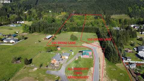 110 DRYAD LN, Castle Rock, WA 98611