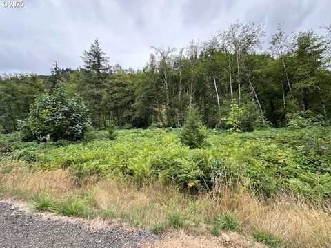 0 N Dubois RD, Ariel, WA 98603