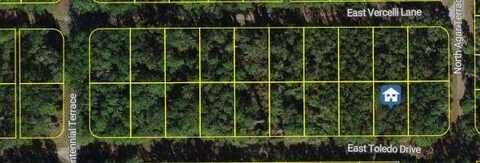 1107 Toledo Drive, Citrus Springs, FL 34434