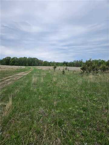 Tbd Pillager Creek Trail SW, Sylvan, MN 56473