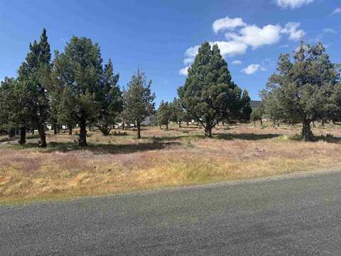 Lot 192 Lake Shastina Dr, Weed, CA 96094