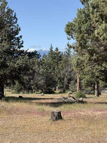 Lot 96 Harbor View, Weed, CA 96094