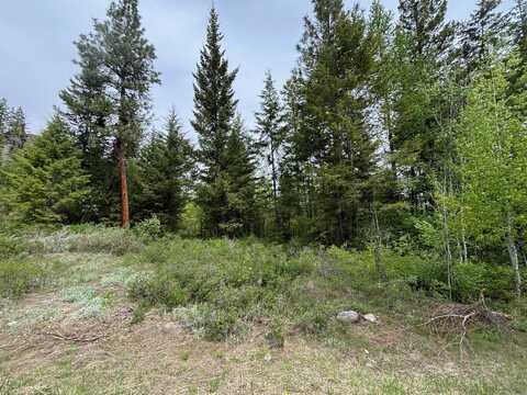 1xx Rocky Canyon Rd, Other, WA 98855