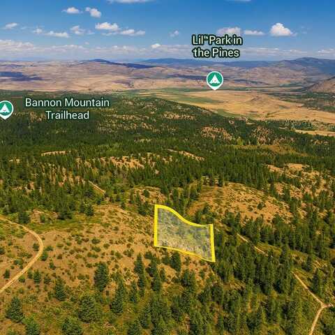 1xx Rocky Canyon Rd, Other, WA 98855