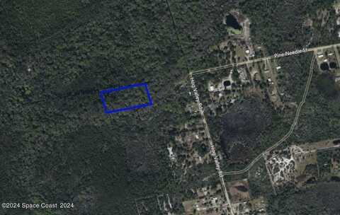 Pine Needle Street, Mims, FL 32754
