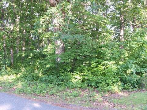 Priddy Street, Keysville, VA 23947