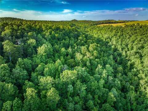 TBD..., Witts Springs, AR 72686