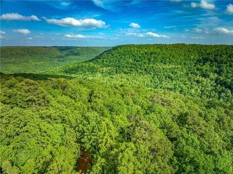 213 Scenic, Witts Springs, AR 72686