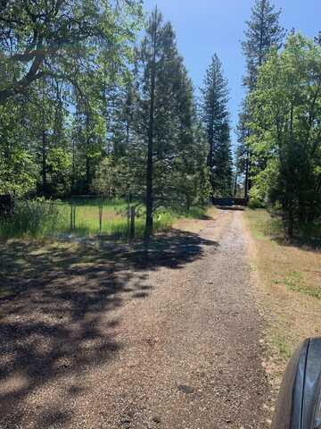 HWY 299E, Johnson Park, CA 96013