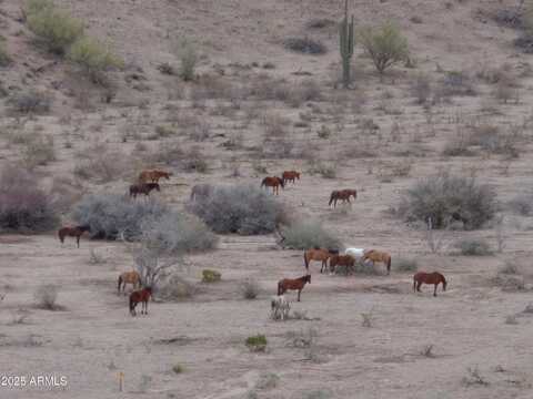 Lot 13-f E Overdrive Road, Fort McDowell, AZ 85264