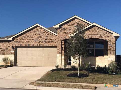 16917 Aventura Avenue, Pflugerville, TX 78660