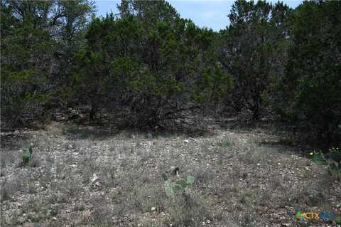 135 Agarita Drive, Spring Branch, TX 78070