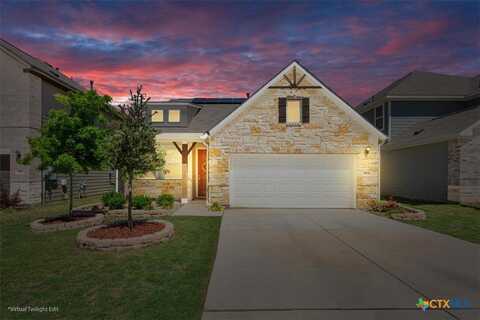 303 Blackbear Drive, Hutto, TX 78634