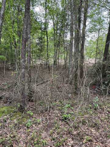 290 Leeds Lane, Spartanburg, SC 29307