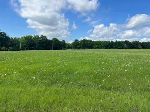 Lot #15, 3.64 acres, Oakbend Circle, Cairo, GA 39828