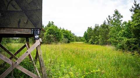 7399 Amon Hill Road, Bastrop, LA 71220