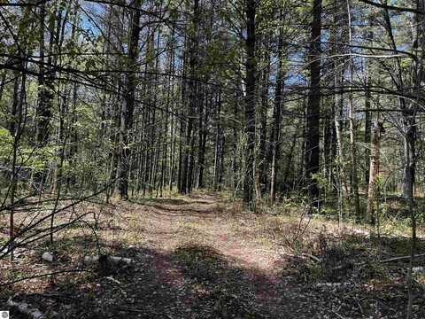 833 Briggs Road, Twining, MI 48766