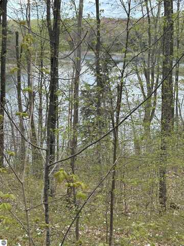 V/L Hardwood Drive, Alba, MI 49611