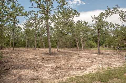 103 Fox Hollow, Somerville, TX 77879