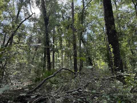 RUNNING SPRINGS Drive, Live Oak, FL 32060
