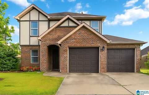 22873 DOWNING PARK CIRCLE, Mc Calla, AL 35111