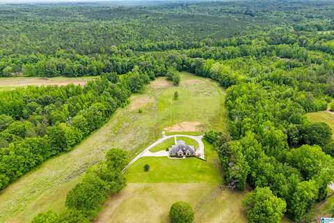 16240 HIGHWAY 22, CLANTON, AL 35045