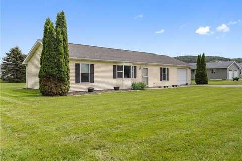 29 Bambi Lane, Candor, NY 13743