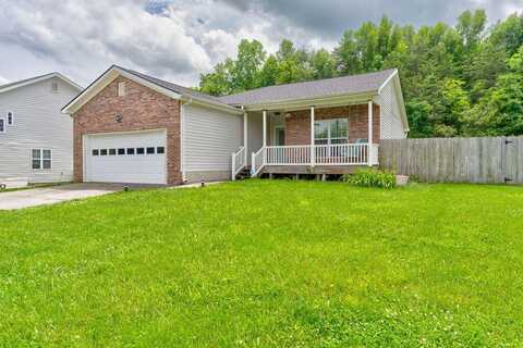 115 Meadowland Drive, Mc Donald, TN 37353