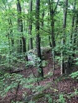 0 Anderson Avenue, Signal Mountain, TN 37377