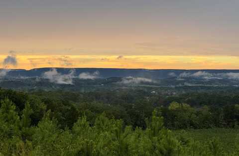 4875 New Union Road, Dayton, TN 37321