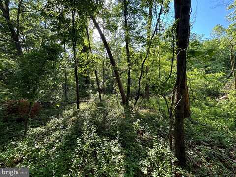 O HOWELLSVILLE ROAD, BOYCE, VA 22620