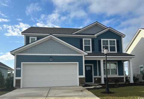 1244 Woodhouse Dr, Ash, NC 28420